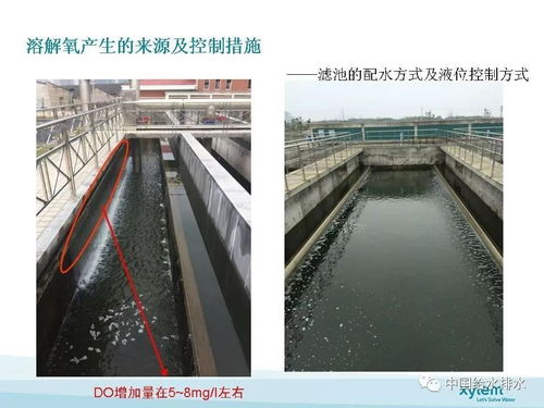 深床滤池在污水厂类四类水提标项目中的关键应用及与污水管网工程协同探讨