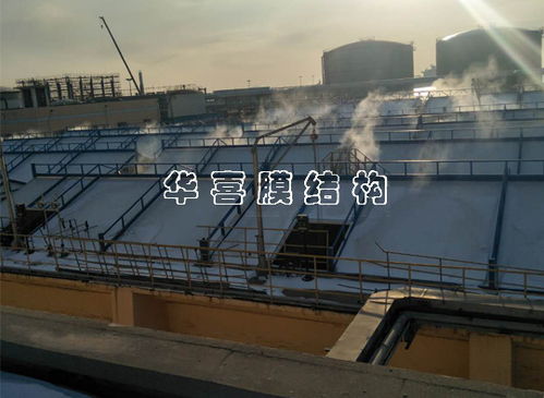 大连石化污水处理厂污水管网工程建设与管理探讨
