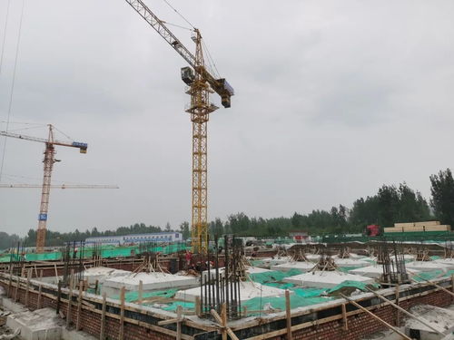 淄博高新区 项目建设映春色 污水管网蓄动能