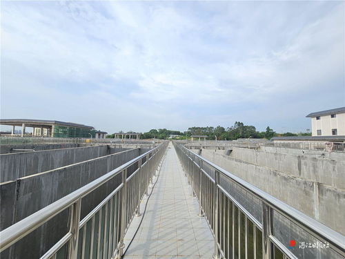 遂溪滨河新生 一期污水处理厂及配套管网主体竣工，绘就绿色发展新底色
